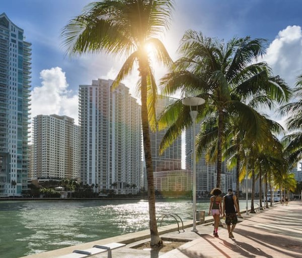 The Best Florida Online Nurse Practitioner Programs