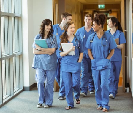 what is a nurse essay