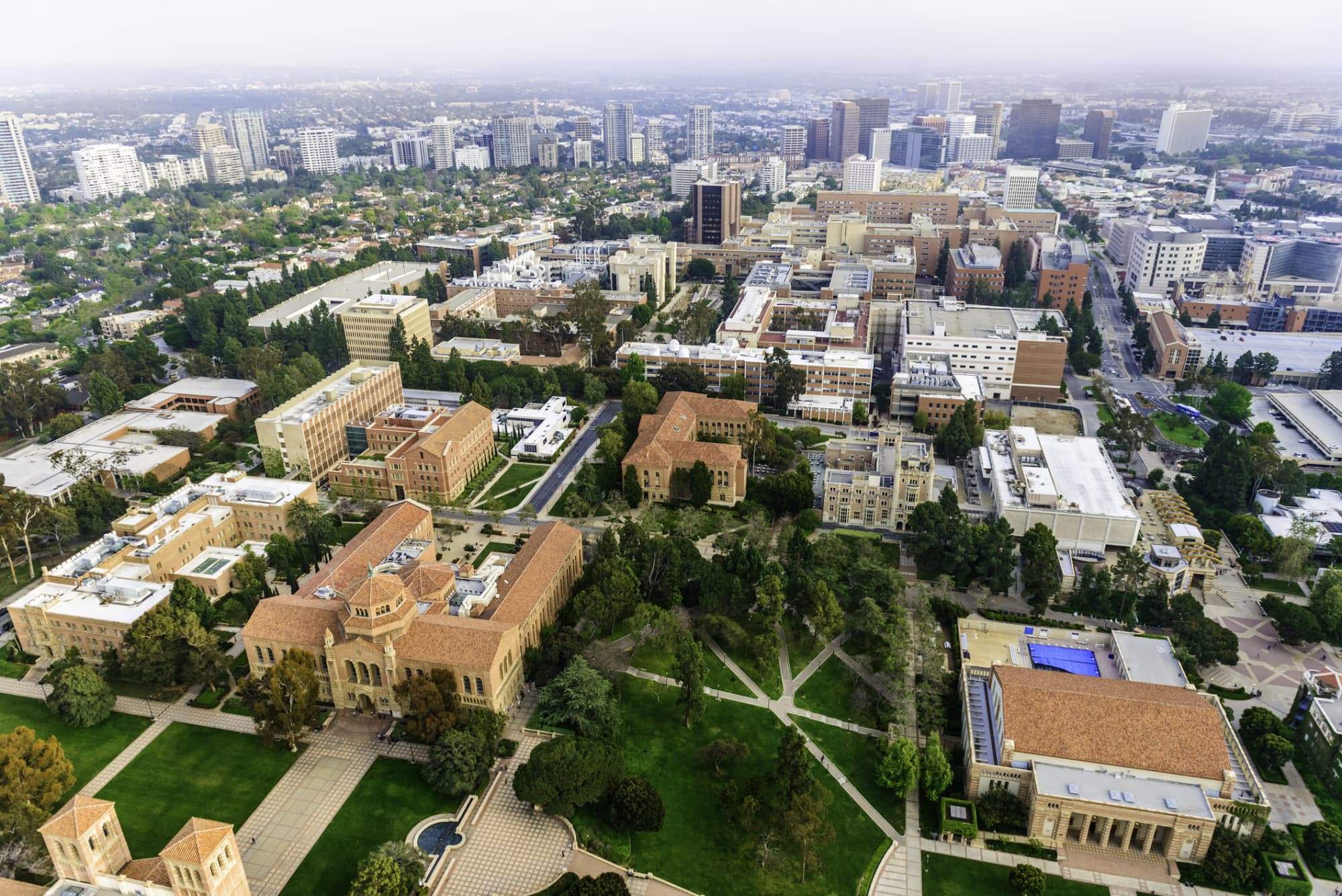 200+ Top University of California, Los Angeles Online Courses [2023]