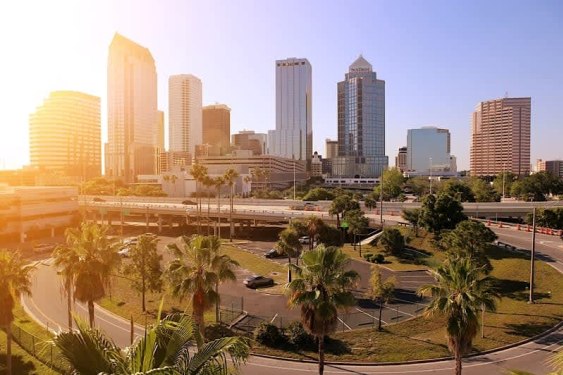 Accounting Degree Overview for Florida