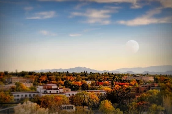 Accounting Degree Overview for New Mexico