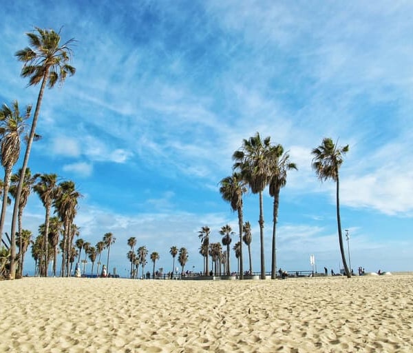 Become a Nurse in California: Requirements, Licensing, and Employment Outlook