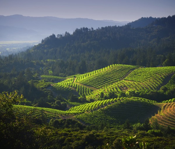 The Best LVN-to-BSN Programs in California