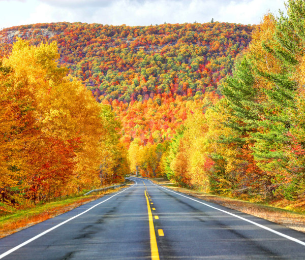 The Best RN-to-MSN Programs in New York