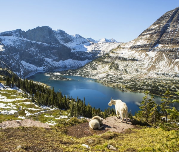 Top Montana Nursing Schools and Programs