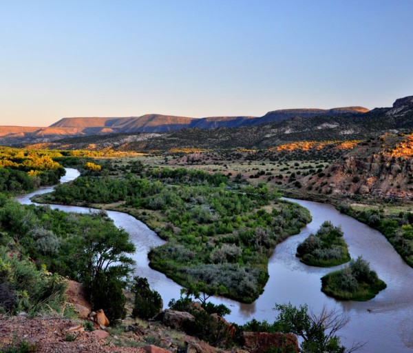 The Top Nursing Schools in New Mexico