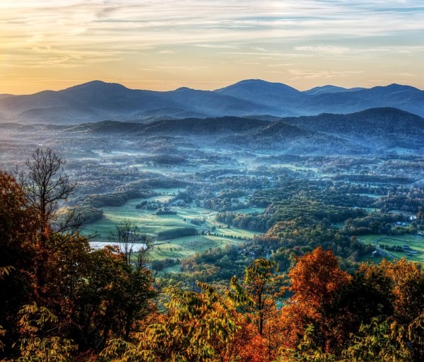 Top Virginia BSN Degree Programs