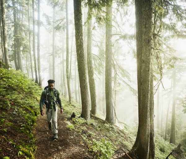 Best Washington Nurse Practitioner Programs