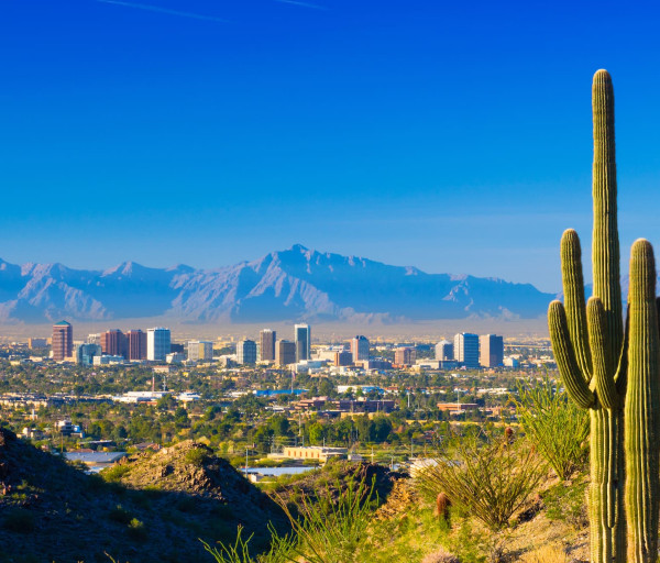 Online Psychology Degree Programs in Arizona
