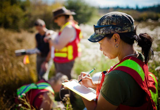 Earning an Online Environmental Science Bachelors Degree