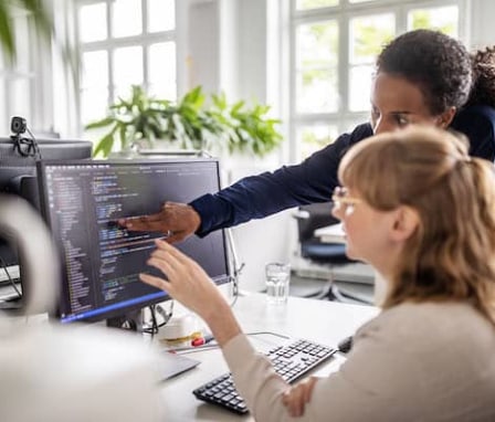 What Is a Software Engineer? | Skills and Career Paths