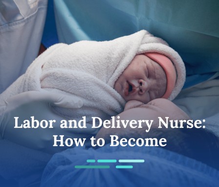 Mother/Baby  Mother and Baby Nursing Specialty: The Ultimate L&D