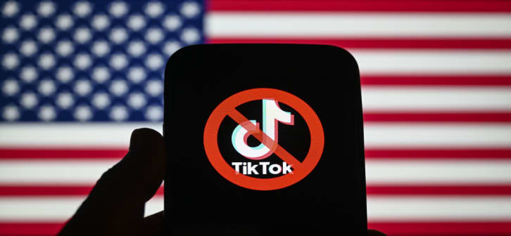 Americans favor government ban of TikTok by more than 2 to 1