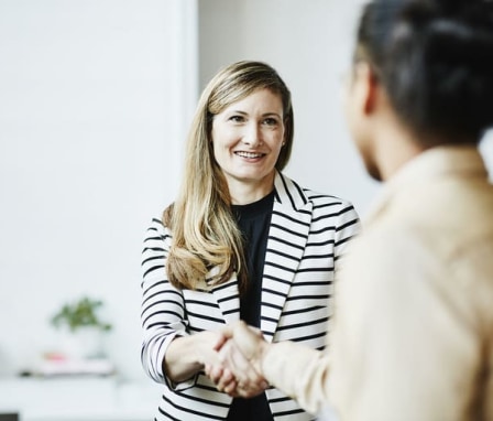 Professional colleagues shaking hands