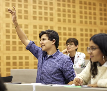 Student raising their hand in lecture hall