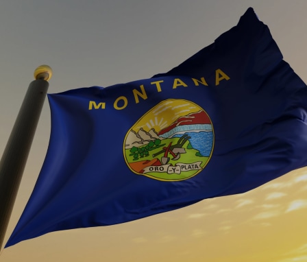 Montana flag waving against a sunset sky