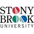 stony-brook-university Online MSc in Human Resource Management