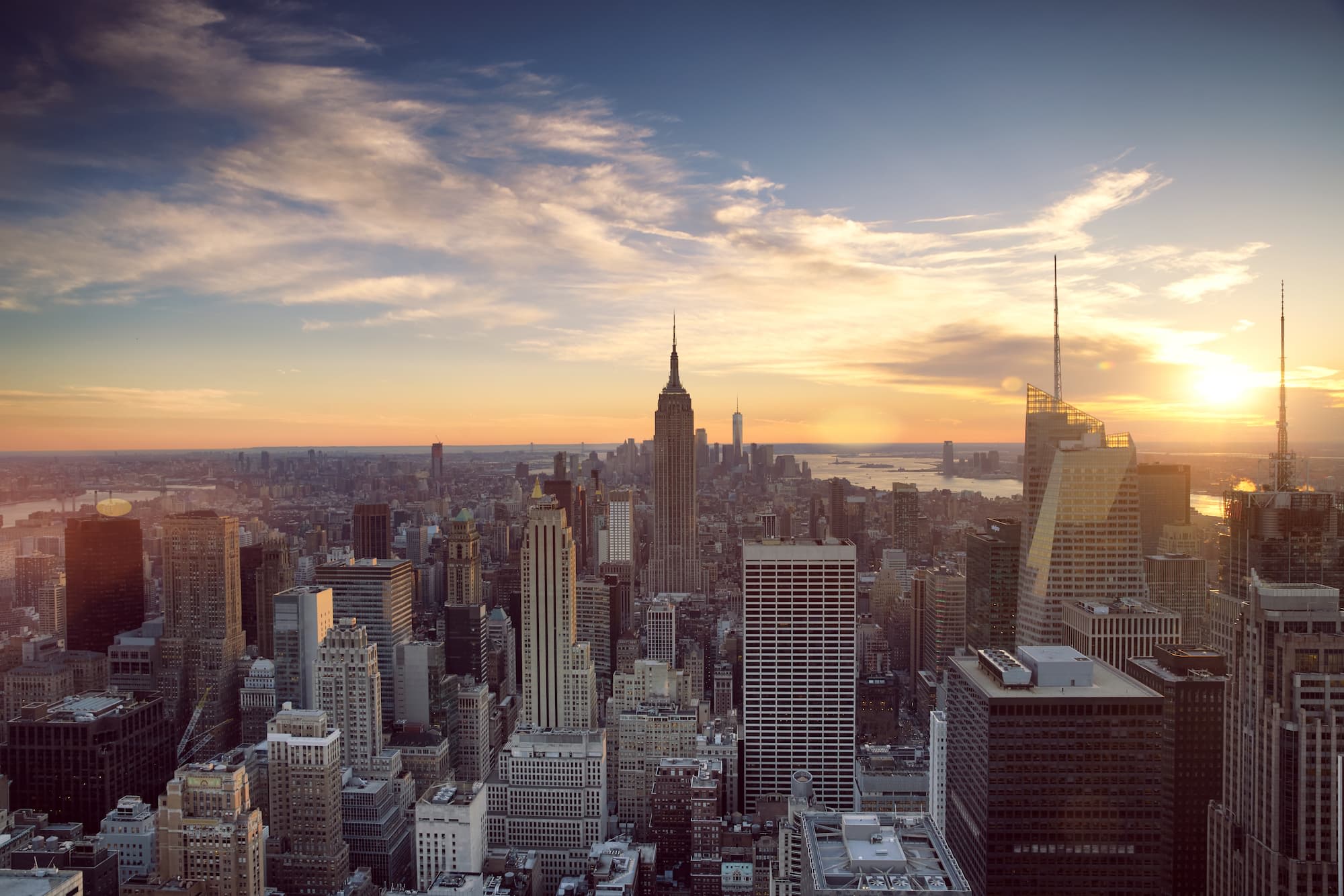 Hero Image Online Psychology Degree Programs in New York