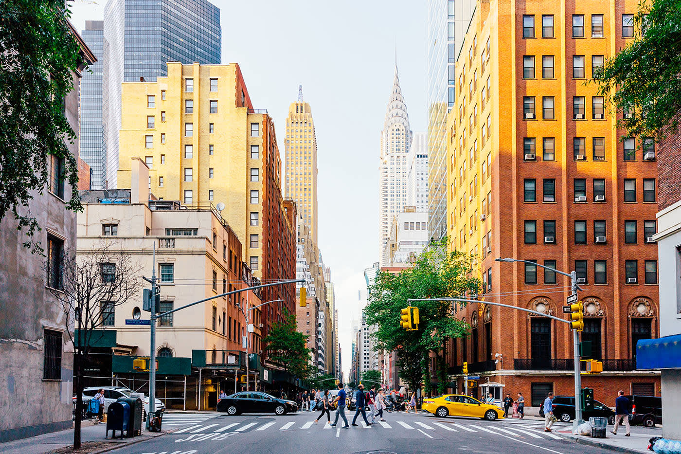Online NP Programs in New York