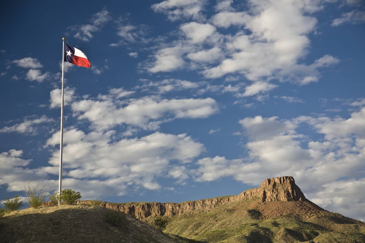 Counseling Degree Programs in Texas Best Counseling Degrees