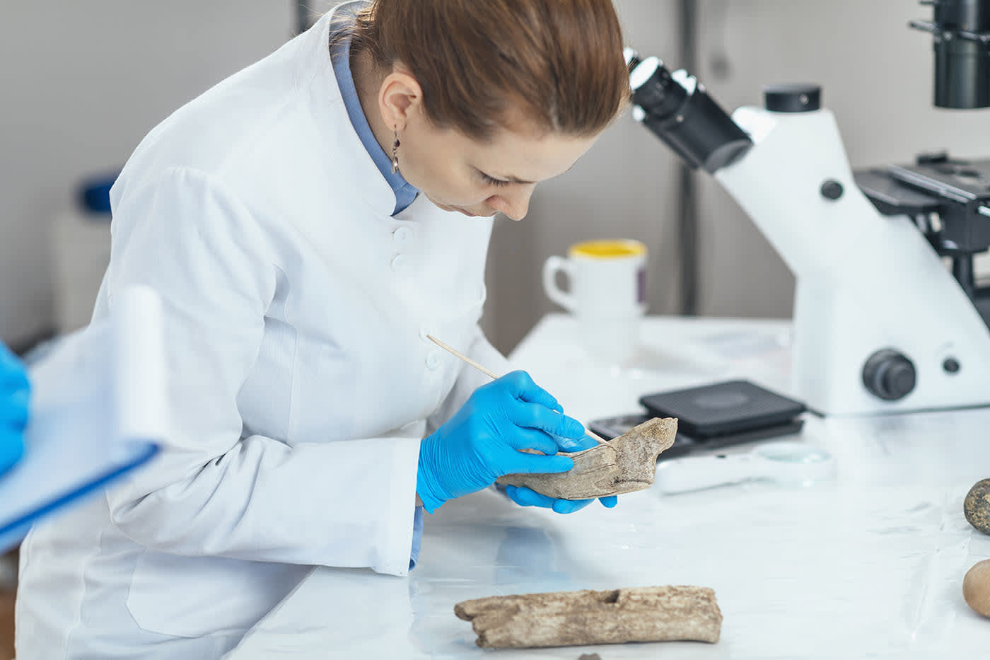 research on forensic anthropologist