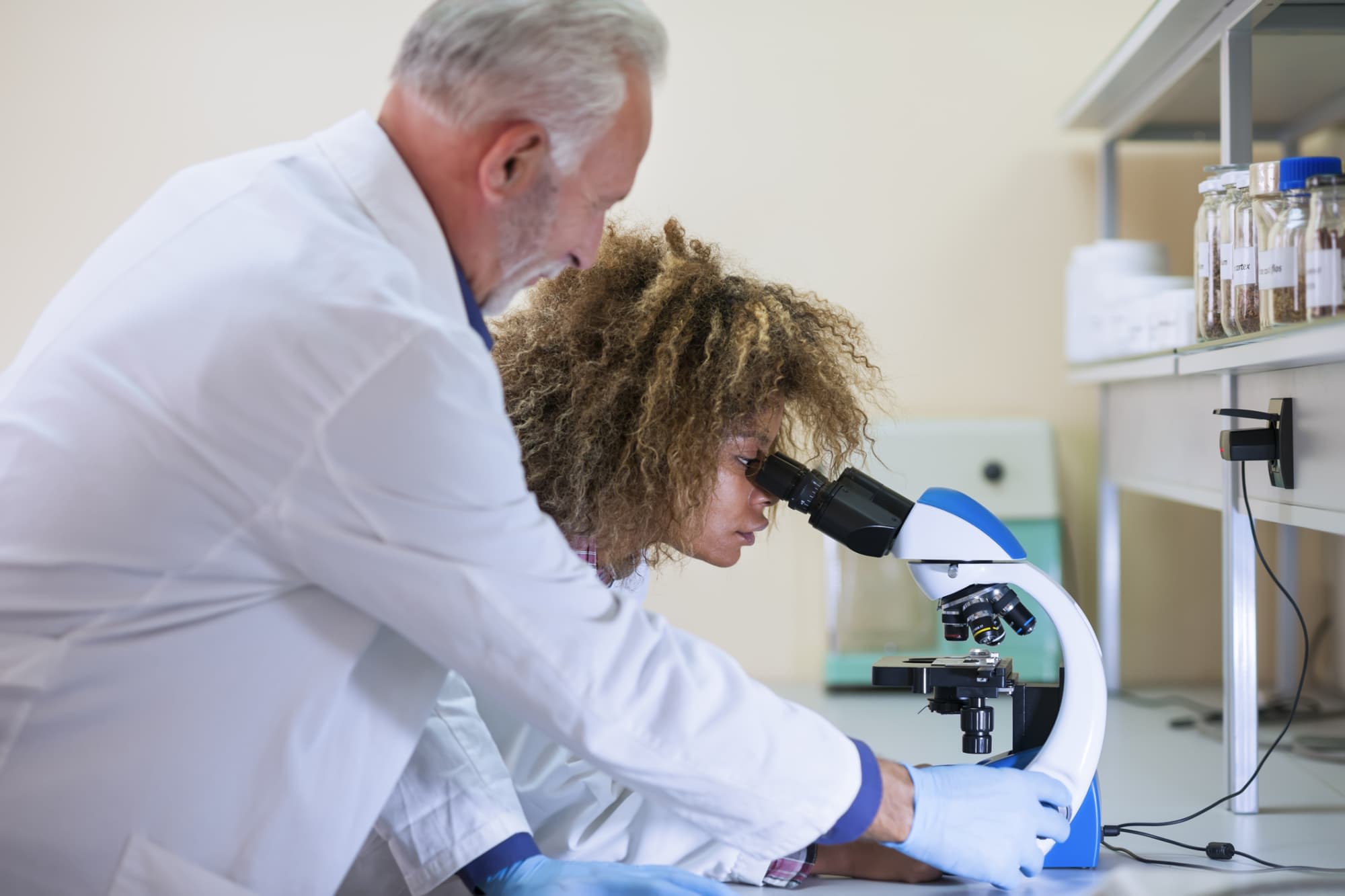 Forensic Science Degree Programs Accredited Schools Online