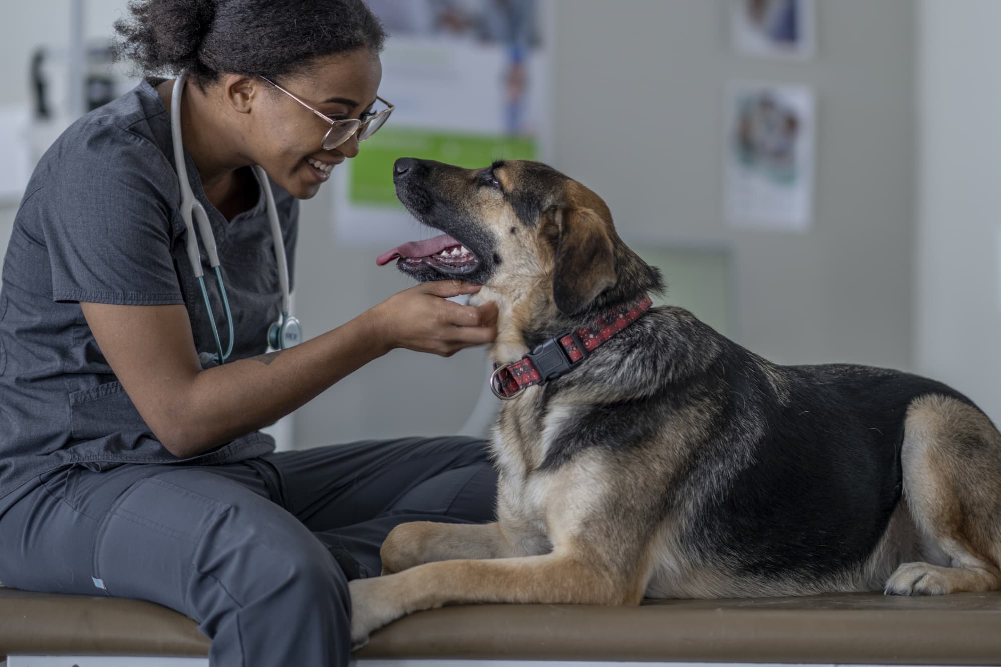 how much do vet techs make an hour in michigan