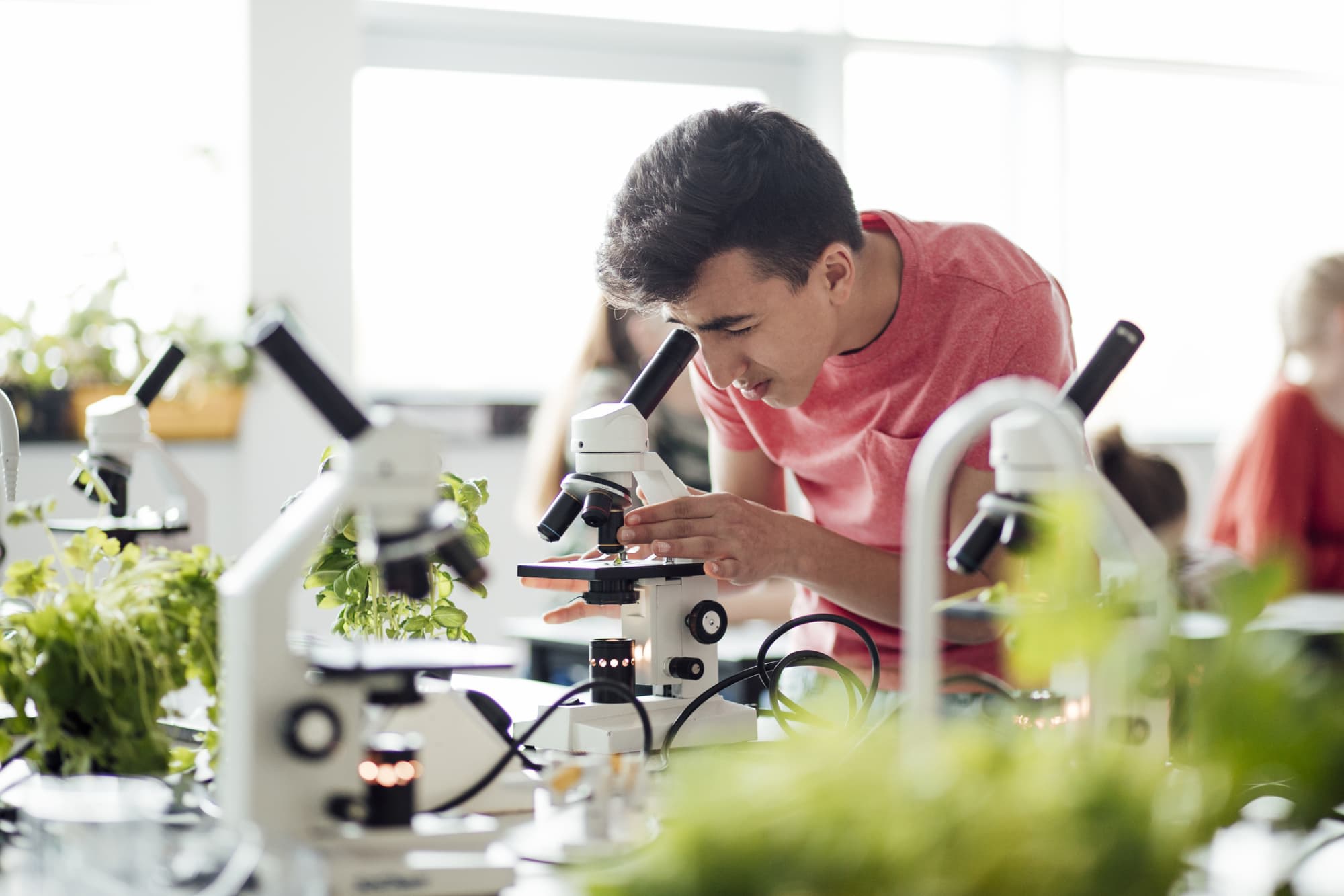 Is AP Biology Hard? A Complete 2022 Guide | BestColleges
