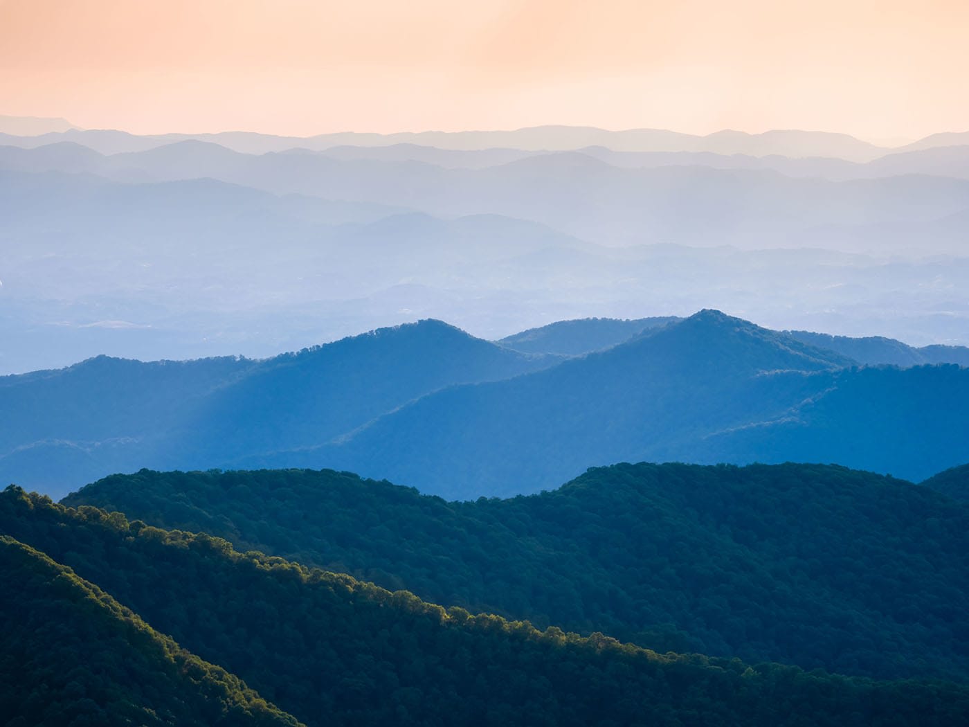 Colleges in North Carolina for Criminal Justice