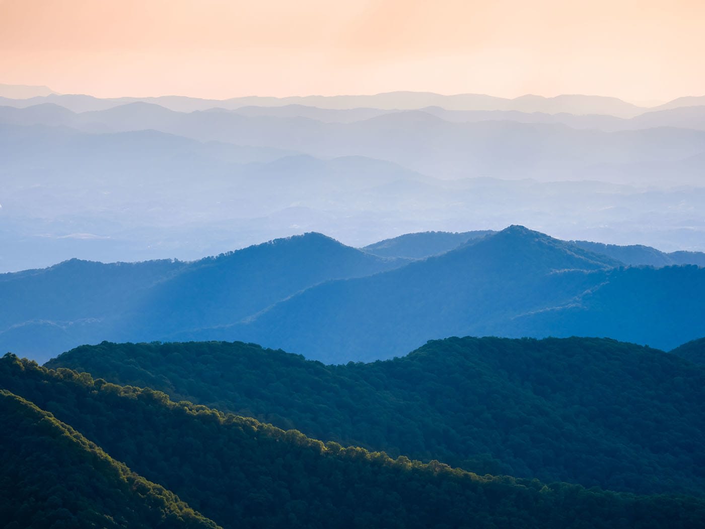 North Carolina Criminal Justice Schools