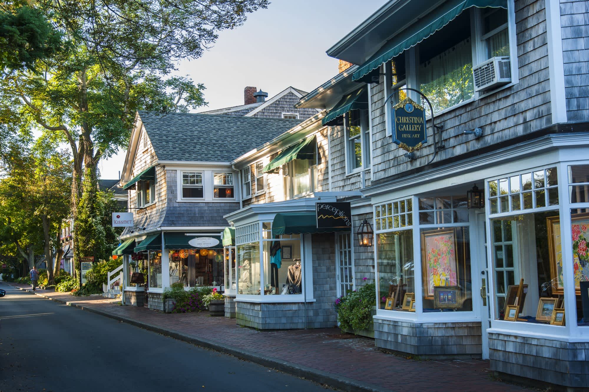 Storefronts in cottages along a street