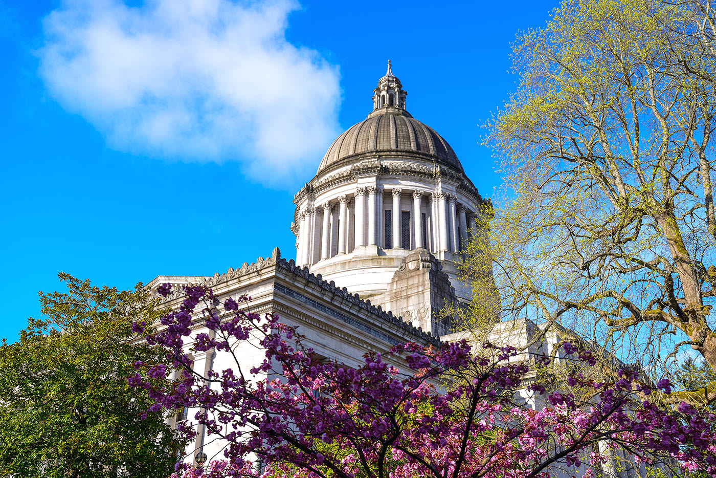 Best Criminal Justice Schools In Washington best-criminal-justice-schools-in-washington