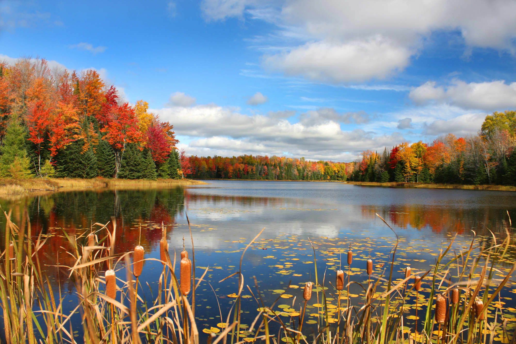 LPN Programs In Wisconsin 2022 Guide