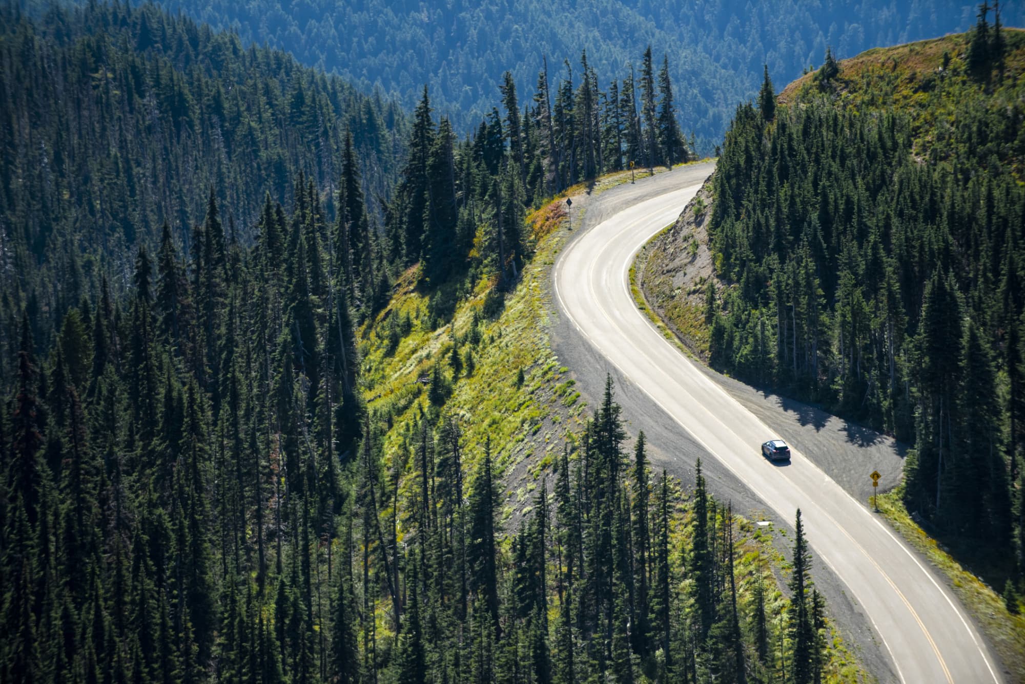 LPN Programs In Washington 2022 Guide