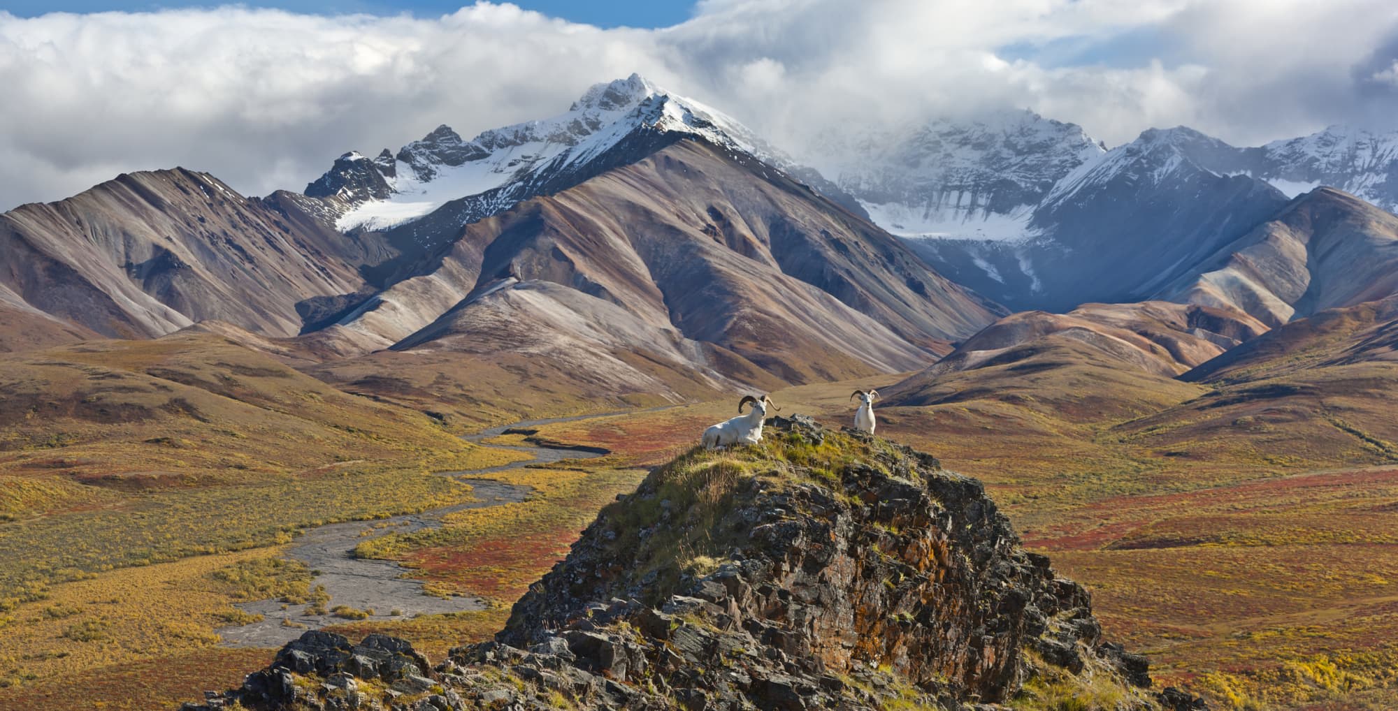 Medical Assistant Schools & Salaries In Alaska