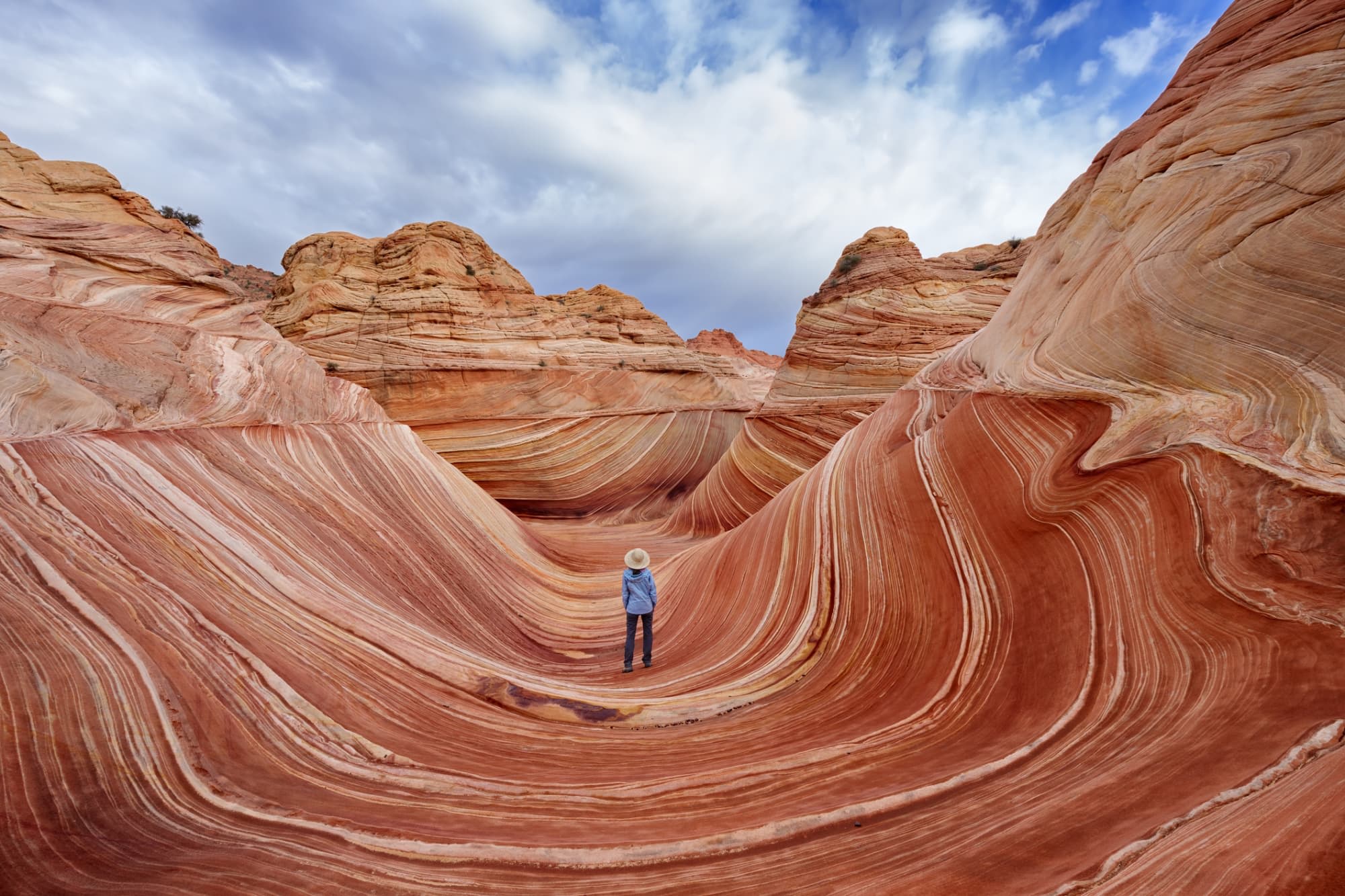 LPN Programs In Arizona 2022 Guide