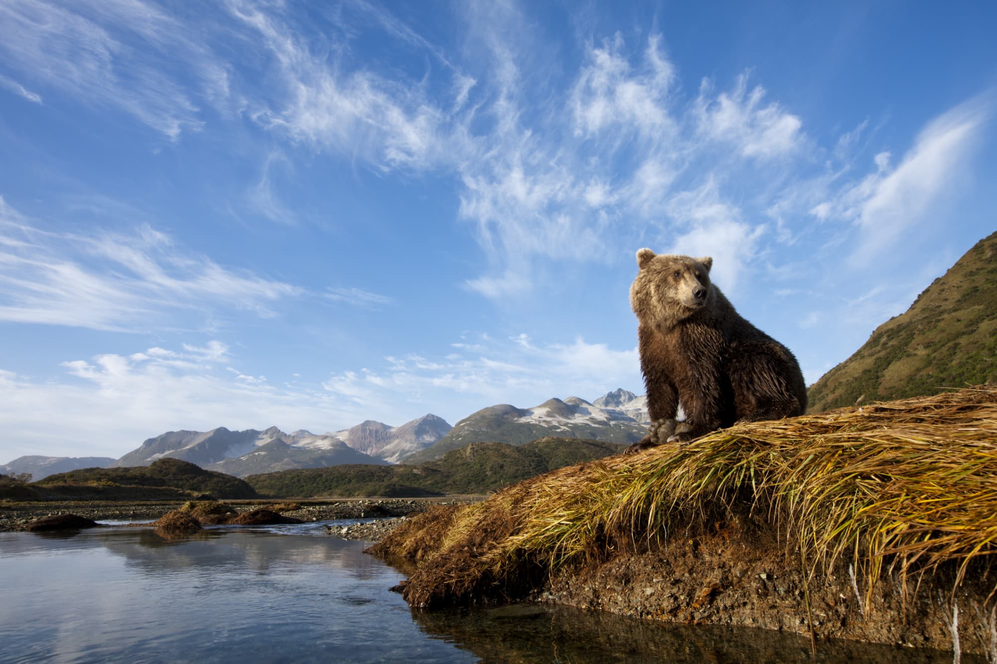 Average RN Salary In Alaska 2022 | NurseJournal.org