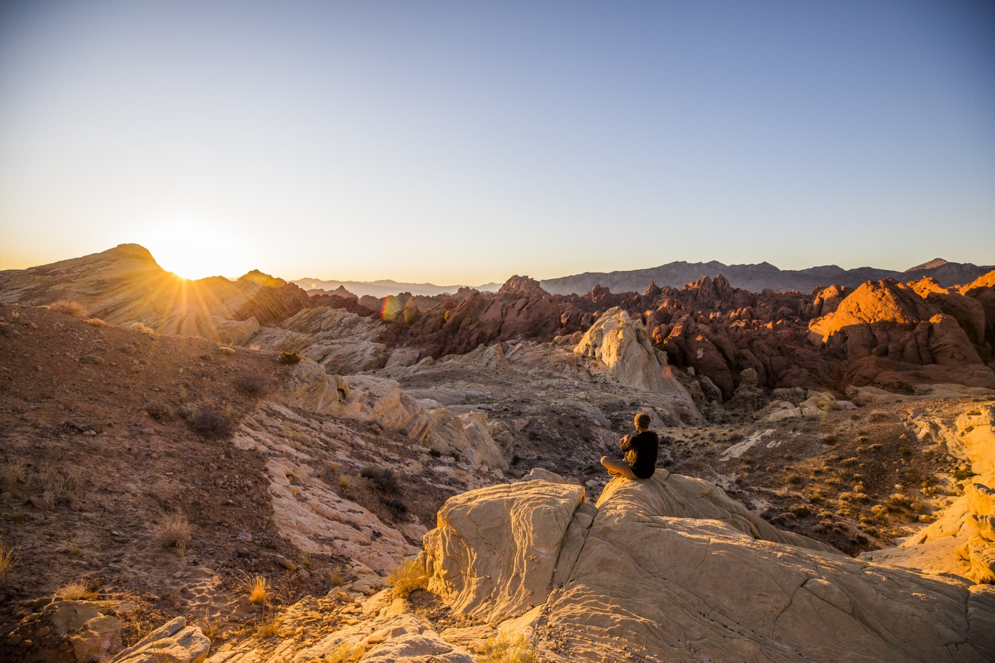 Average RN Salary In Nevada | NurseJournal.org