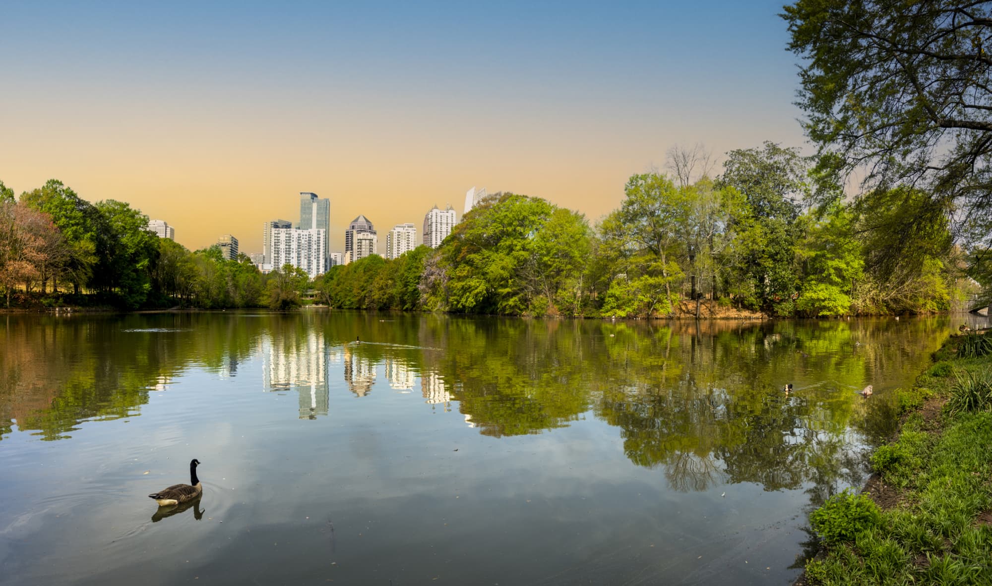 Average RN Salary In Georgia | NurseJournal.org