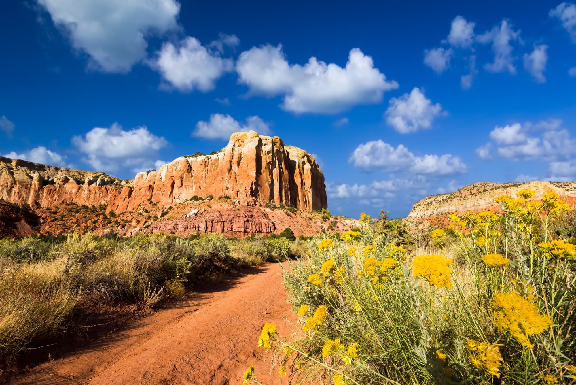 LPN Programs In New Mexico 2022 Guide
