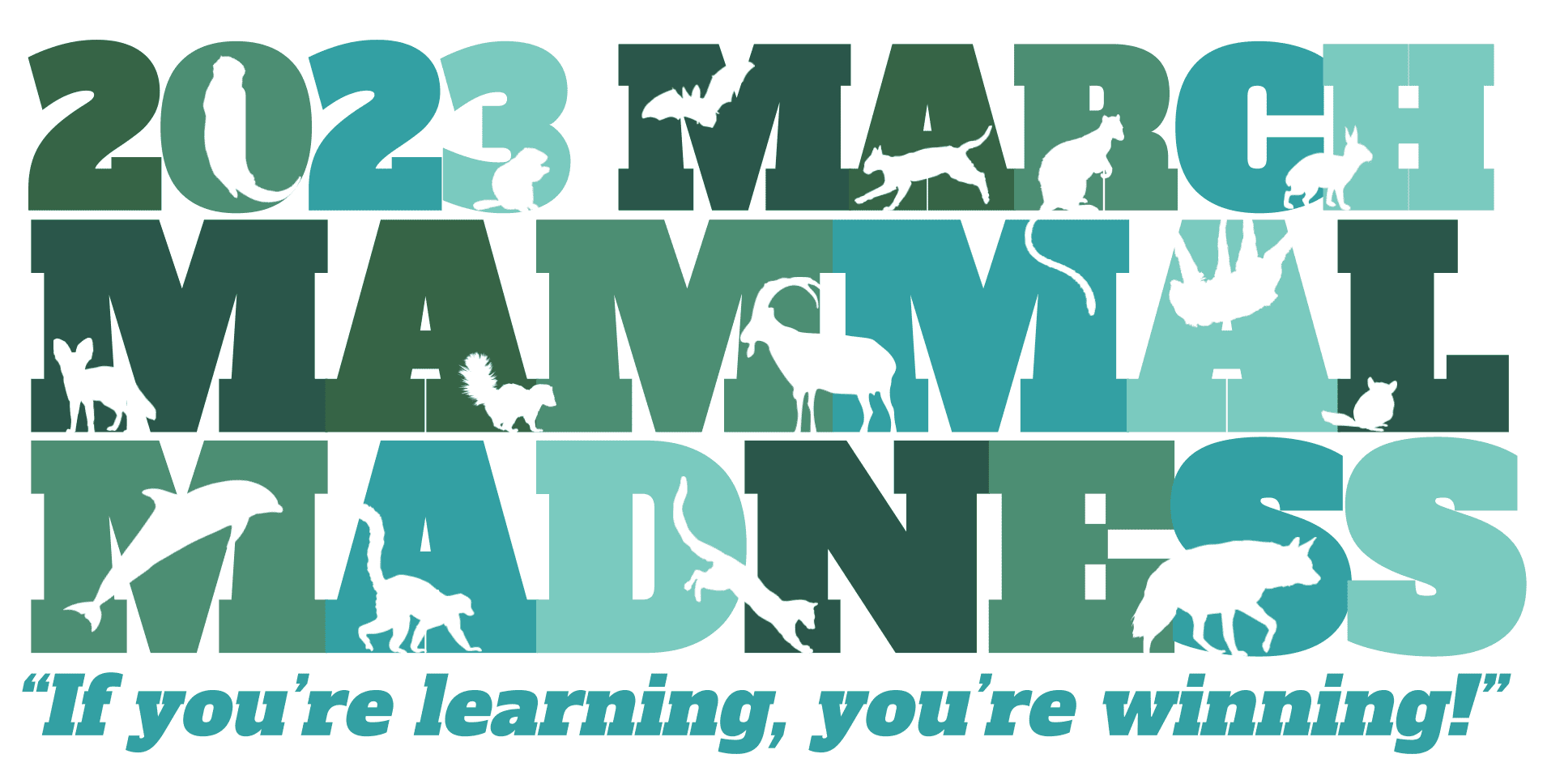 March Mammal Madness Offers Scientific Take on Hoops Hysteria