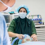 Nurse Anesthetist Career Guide