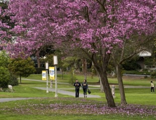 Card Thumbnail - In UC System, Irvine Top Choice for First-Gen Students