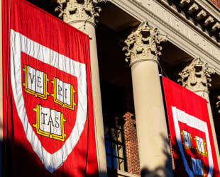 Card Thumbnail - Harvard Reinstates Standardized Testing