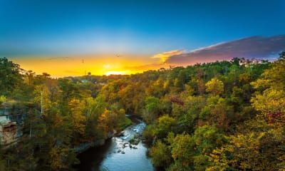 Psychology in Minnesota