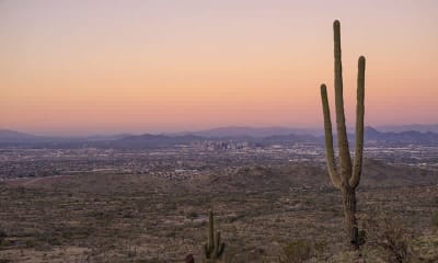 Accounting Degrees in Arizona