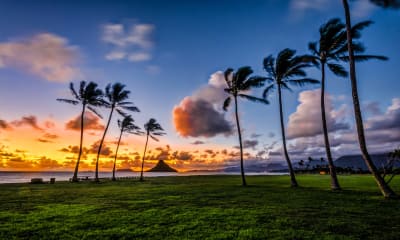 Hawaii CPA Requirements