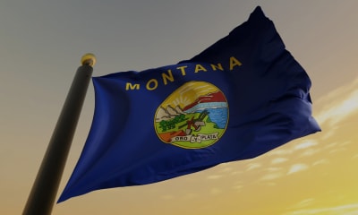 Montana CPA Requirements