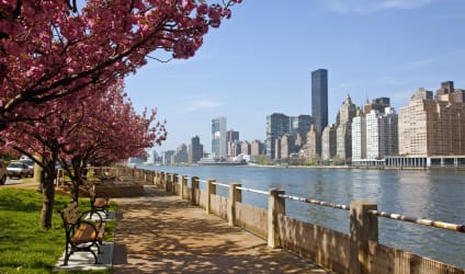 Card Thumbnail - The Best Nurse Practitioner Programs in New York 2023
