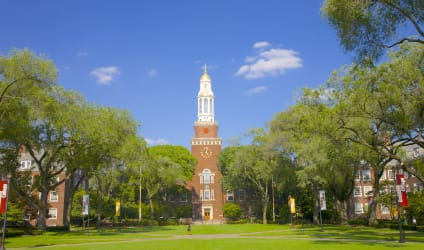 Card Thumbnail - Public Colleges in New York: Complete List